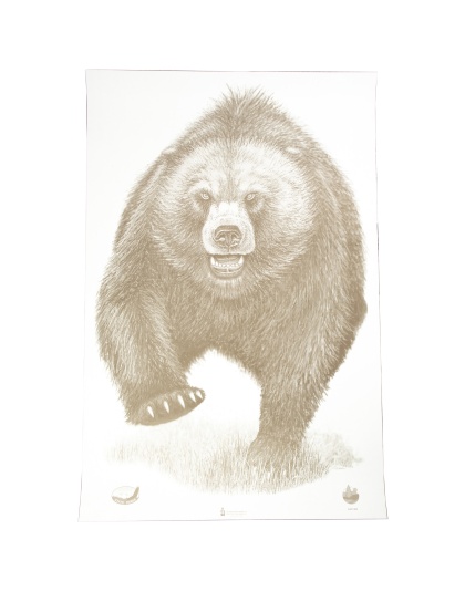 Action Target Alaska State Parks Bear Target, 23"x35", 100 Per Box