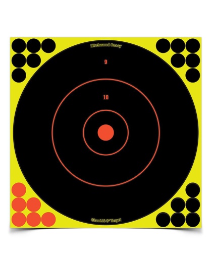 Birchwood Casey Shoot-N-C Target, Round Bullseye, 12", 12 Targets