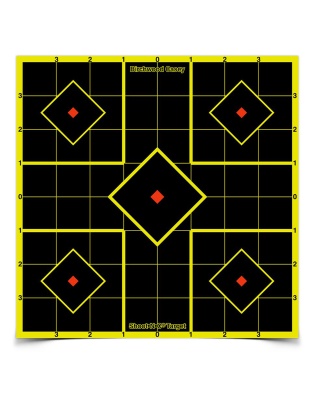 Birchwood Casey Shoot-N-C Target, Sight-In, 8", 15 Targets