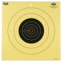Birchwood Casey Dirty Bird, 12" 25 Yard Slow Fire Pistol Target, 12 Targets