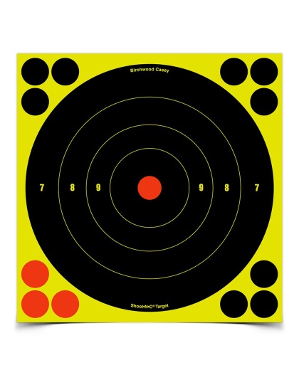Birchwood Casey Shoot-N-C Target, Round Bullseye, 8", 30 Targets