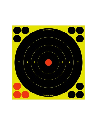 Birchwood Casey Shoot-N-C Target, Round Bullseye, 8", 6 Targets